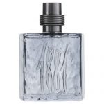 Cerruti perfume 1881 Black