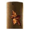 Thierry Mugler – A * Men Pure Wood