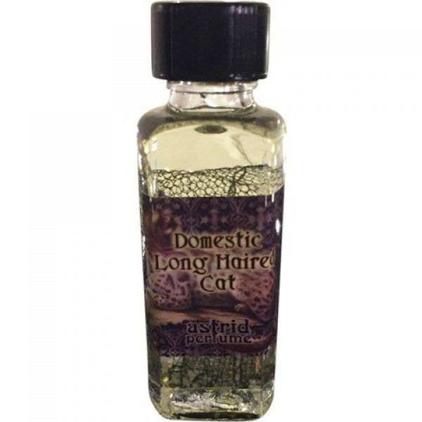 Domestic Long Haired Cat