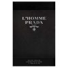 Composition of the fragrance L’Homme Prada