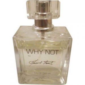 Why Not by Branislav Lečić