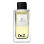 D&G – 18 The Moon