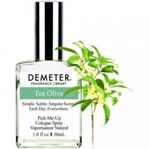 Tea Olive
