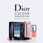 Look Dior Color Gradation