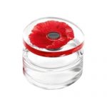 Kenzo – Flower in the Air