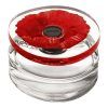 Flower in the air: Kenzo's poppy becomes a flower of the sun ...