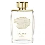 Lalique – For Men Lion