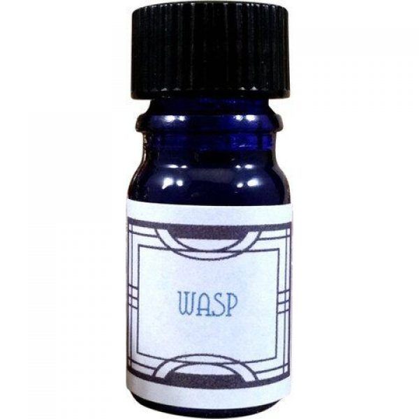 Wasp