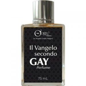 Il Vangelo Secondo Gay