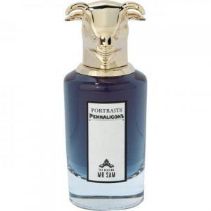 Portraits - The Blazing Mr Sam