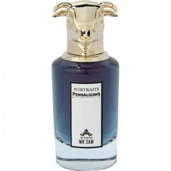 Portraits - The Blazing Mr Sam