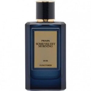 Olfactories - Some Velvet Morning