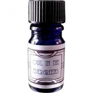 Owl in the Evergreen   for Unisex