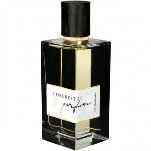 Thé Darbouka   for Unisex