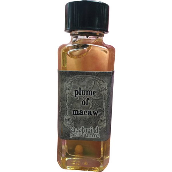 Plume of Macaw   for Unisex