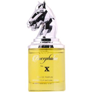 Niche - Bucephalus No. X   for Men