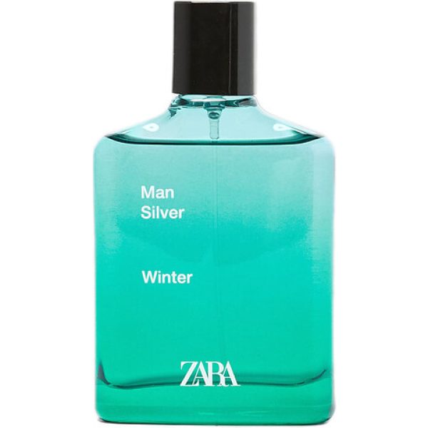 Man Silver Winter   for Men