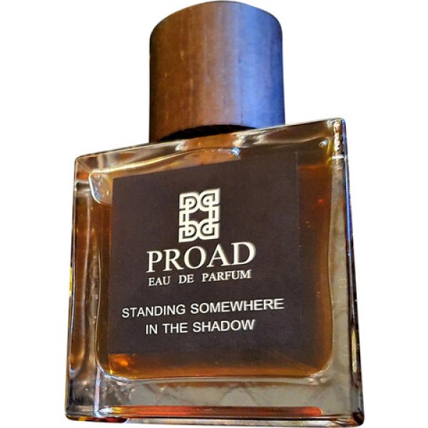 Standing Somewhere in the Shadow   for Unisex