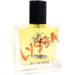 Lyssa
  EAU DE PARFUM  for Men