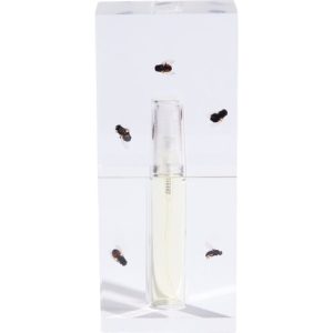 Radical Hopelessness   for Unisex