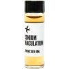 Conium Maculatum   for Unisex