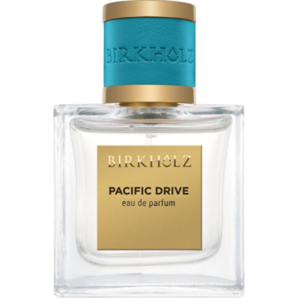 Pacific Drive   for