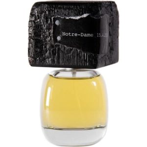 Délire de Voyage - Notre-Dame 15.4.2019   for Unisex