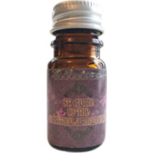 St. Carrie of the Spiritual Armament   for Women