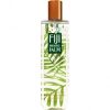 Fiji Pineapple Palm   for Women