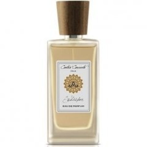 Whisper   for Unisex