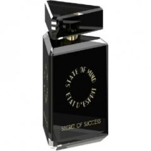 Secret of Success   for Unisex