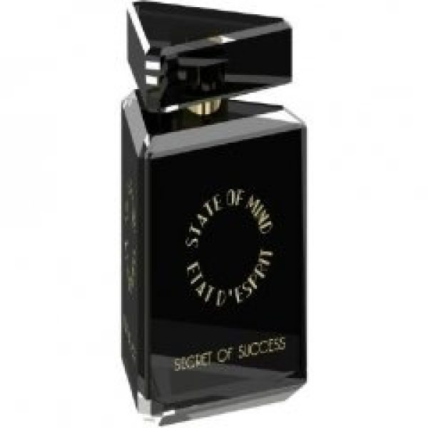 Secret of Success   for Unisex