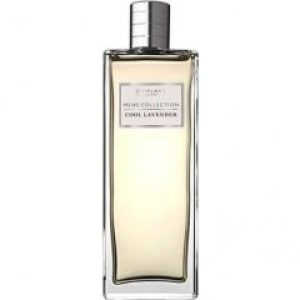 Men's Collection - Cool Lavender   for Men