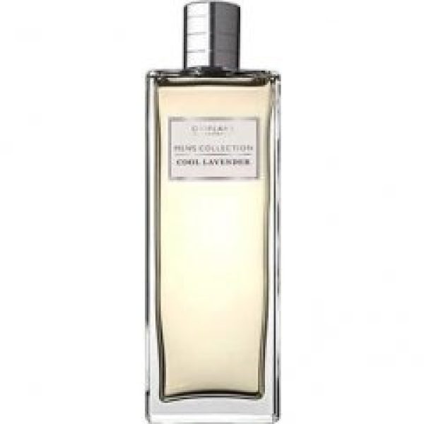 Men's Collection - Cool Lavender   for Men