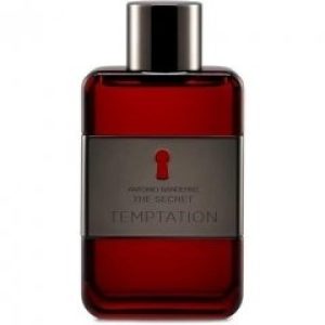 The Secret Temptation   for Men