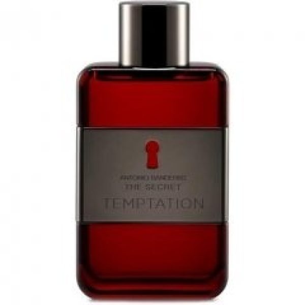 The Secret Temptation   for Men