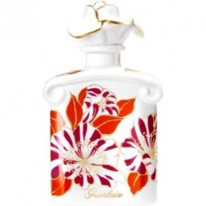 Fall Flowers   for Women