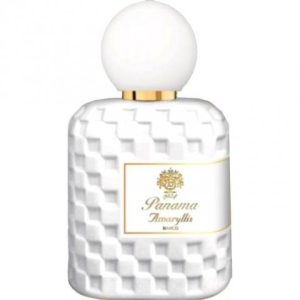 Amaryllis Bianco   for Women