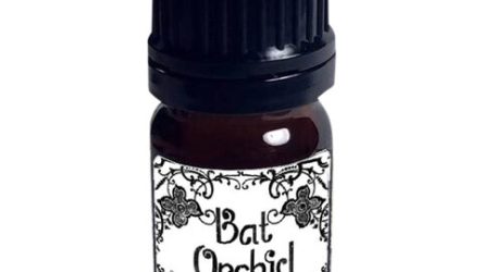 Bat Orchid