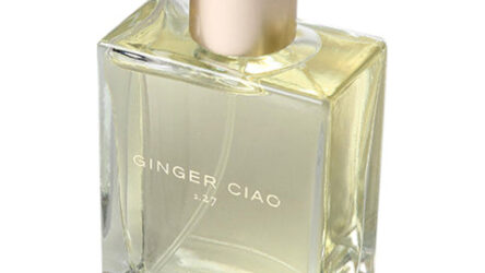 Ginger Ciao 2.27