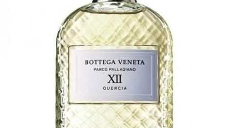 Parco Palladiano XII: Quercia