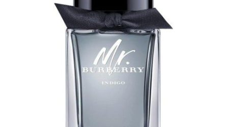 Mr. Burberry Indigo