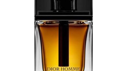 Extrait Dior Homme Parfum Christian Dior