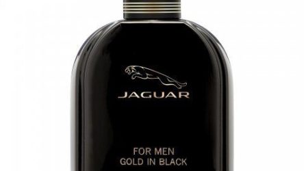 Jaguar for Men Gold in Black