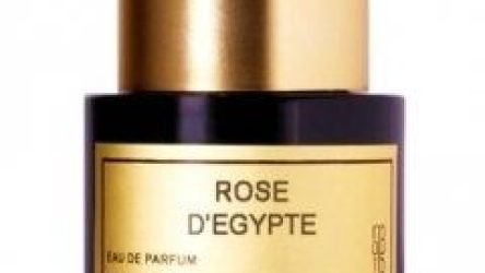 Rose d’Égypte